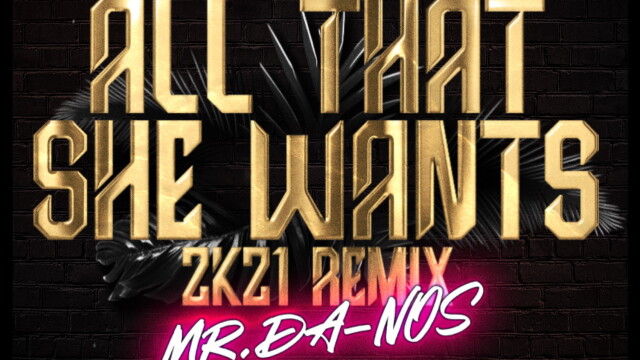Mr.Da-Nos x Eleven’s 2 – All That She Wants 2K21 Remix